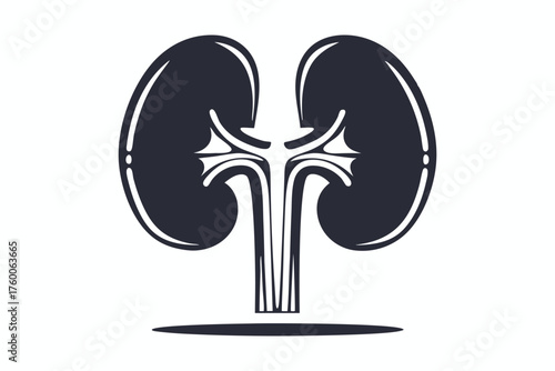 Simplified kidneys stand isolated, with minimalist detail, represented in a simple monochrome style