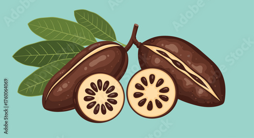 The sweet pulp of Theobroma bicolor fruit.The