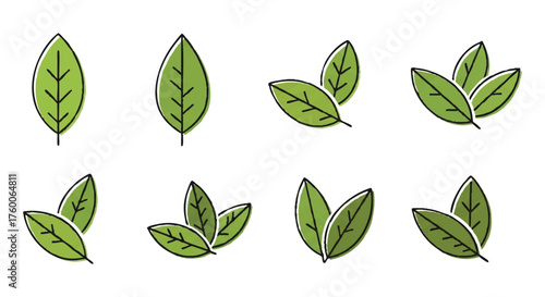 set of bay leaves herb outline icons vector full color