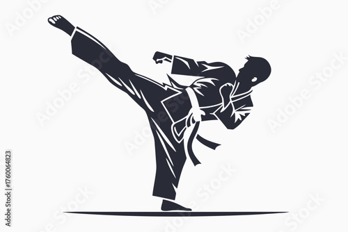 Silhouette reveals an Asian man delivering a powerful side kick during martial arts