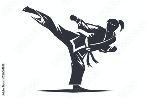 Silhouette shows martial artist demonstrating kick and fist block in a fighting position