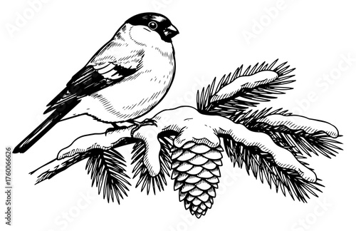 Songbird on Pine Branch with Cone