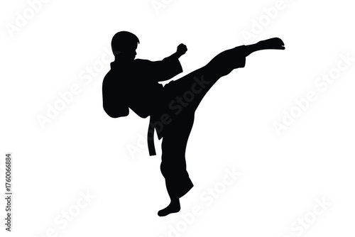 Silhouette shows martial artist powerfully kicking outward with dynamic energy burst in a stylized pose