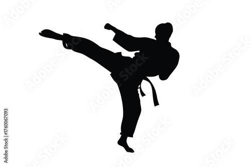 Silhouette shows a fighter executing a side kick while wearing karate uniform