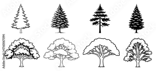 Assorted Conifer and Deciduous Trees Set