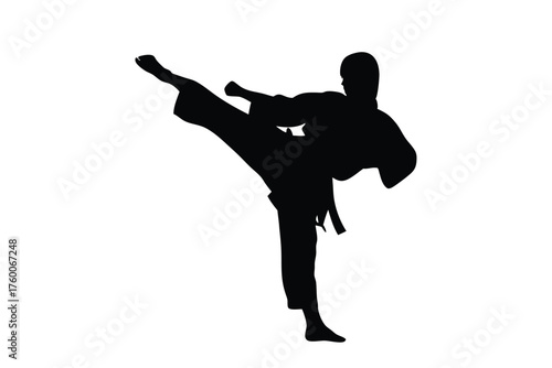 Silhouette of a martial artist gracefully executes a high kick with remarkable power