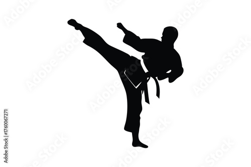 Silhouette martial artist executes a high kick, demonstrating powerful self defense in art
