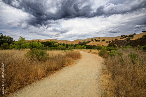 Nature Trail in a Serene, Cloudy Landscape
