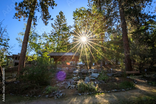 Serene Sunset in a Forested Area