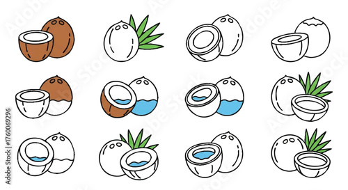 set of coconut outline icons vector full color