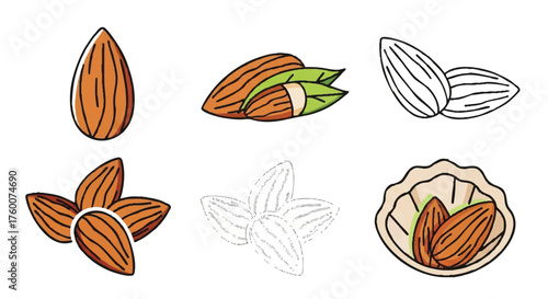 set of almond outline icons vector full color
