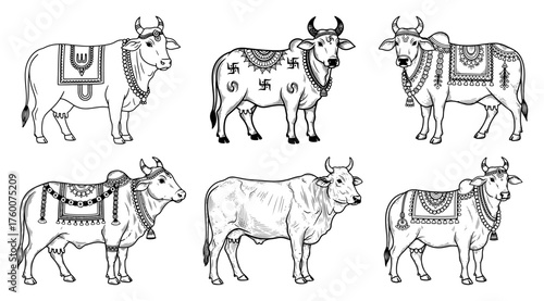 Set of Decorated Sacred Indian Cows and Zebu Bulls. Hand-Drawn Hindu Holy Animal Vector Illustrations.