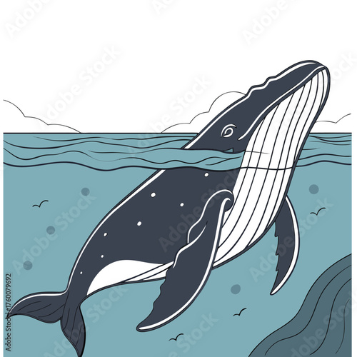 north-pacific-right-whale-vector-