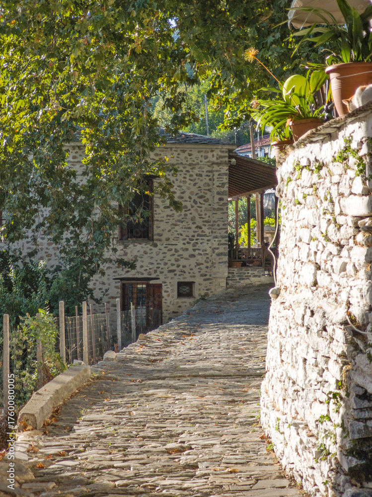 Fototapeta premium Village of Vizitsa at Pelion Mountain, Greece