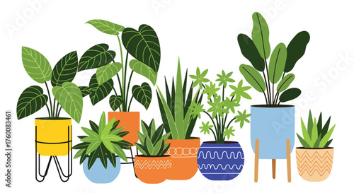 Vector art of group of various potted houseplants, bringing life and color to any interior space