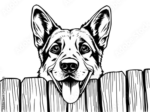 Cute German Shepherd Dog