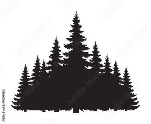 Silhouette of multiple spruce trees of varying heights arranged closely together, creating a dense forest appearance.