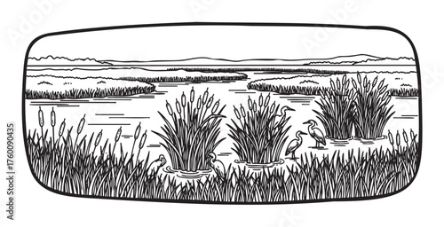 Black outline drawing of a serene wetland landscape with tall reeds and herons standing in the water, surrounded by rolling hills in the distance.