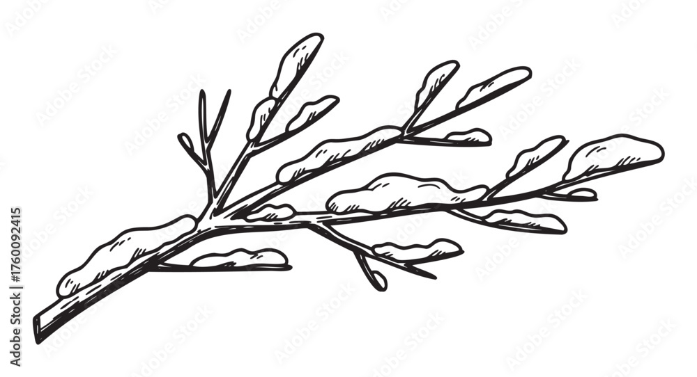 Fototapeta premium Black and white line drawing of a tree branch covered in snow, showcasing the delicate structure of the twigs and leaves.