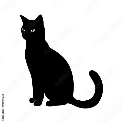 black cat on white background