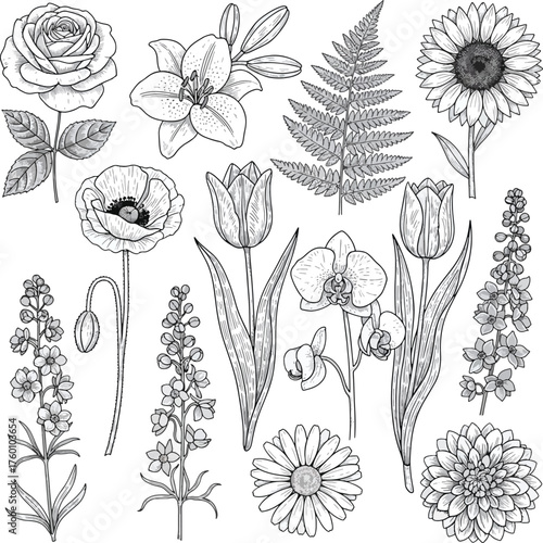 Botanical flowers collection hand drawn vintage sketch set