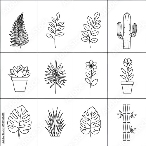 Hand Drawn Botanical Plant and Leaf Icon Set Line Art Collection