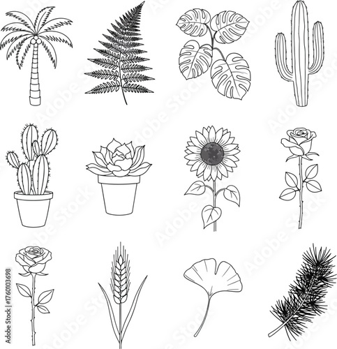 Hand drawn botanical sketch set Tropical garden plants illustration