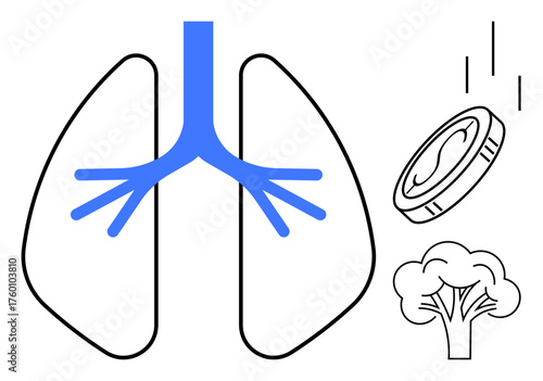 Stylized lungs with airflow, coin symbolizing economics, broccoli for nutrition. Ideal for health, wellness, environment, finance, balance wellness habits and healthcare education. Simple flat