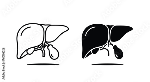 Human Liver Icon Set – Outline and Solid Design
