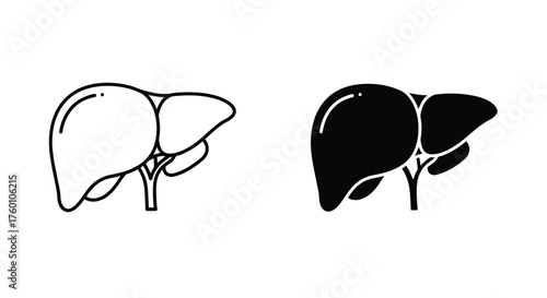 Human Liver Icon Set – Outline and Solid Design