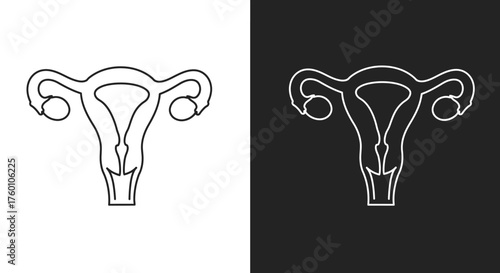 Female Reproductive System Uterus and Ovaries Line Art Icon Set in Black and White
