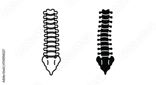 Human Spine Icon Set – Outline and Inverted Design