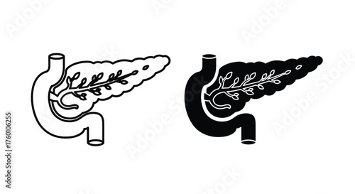 Human Pancreas Icon Set – Outline and Solid Design