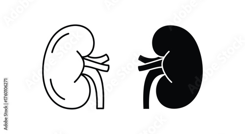 Human large intestine icons, featuring a detailed line art version and a solid black silhouette.