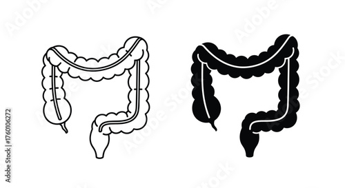 Human Large Intestine Icon Set – Outline and Solid Design