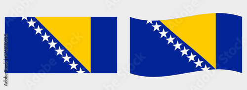 Bosnia and Herzegovina flag wave and flat vector Illustration
Vector flag