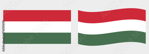 Hungary flag wave and flat vector Illustration
Vector flag