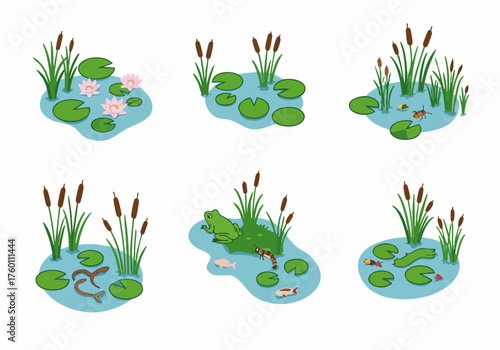 Cartoon Illustration Set of Small Pond Ecosystem with Aquatic Life