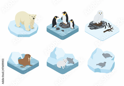 Isometric Detailed Arctic Animal Scene on Ice Floe Element Set