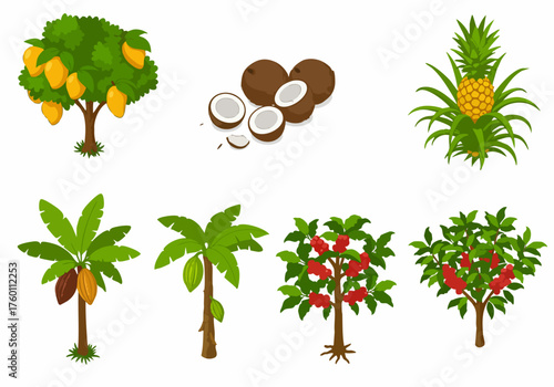 Flat Illustration Tropical Fruit Tree Icon Collection Isolated on White Background