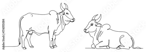 Two sacred Indian Zebu cows. Holy animals of India in a continuous one line drawing style. Minimalist vector illustration.