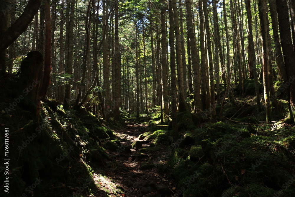 Naklejka premium 日光白根山