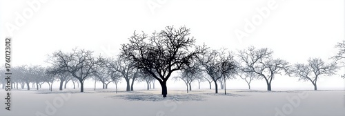 A tranquil winter scene features leafless trees standing silently in a foggy expanse, creating an ethereal feeling of solitude and stillness.