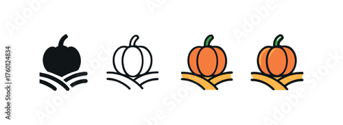 Vector icon pumpkin field autumn same pose same proportions four styles black solid glyph outline minimal flat multicolor filled cartoon flat shaded.