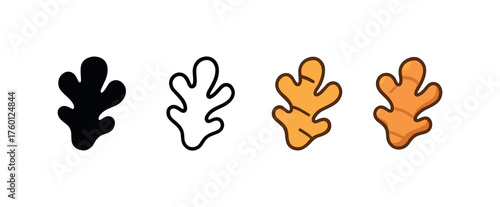 Vector icon ginger root autumn same pose same proportions four styles black solid glyph outline minimal flat multicolor filled cartoon flat shaded.