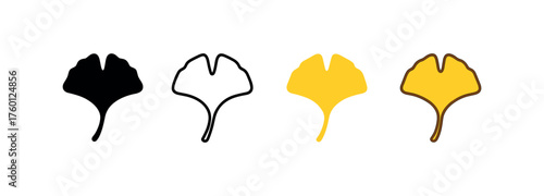 Vector icon ginkgo leaf same pose same proportions four styles black solid glyph outline minimal flat multicolor filled cartoon flat shaded.