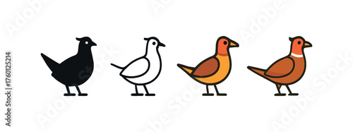 Vector icon pheasant autumn bird same pose same proportions four styles black solid glyph outline minimal flat multicolor filled cartoon flat shaded.