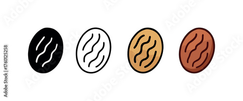 Vector icon nutmeg spice autumn same pose same proportions four styles black solid glyph outline minimal flat multicolor filled cartoon flat shaded.