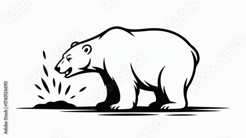 Curious polar bear sniffs the ground with interest on white background