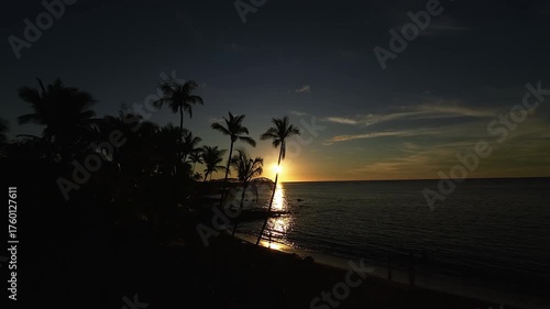 sunset Hawaii palm tree drone shot at the beach